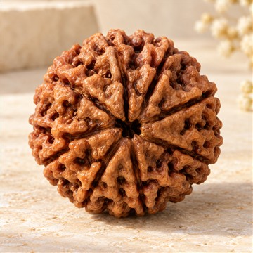 Close-up of a textured Rudraksha bead